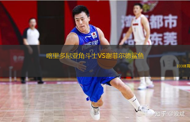 喀里多尼亚角斗士VS谢菲尔德鲨鱼