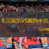 本贝雷凯VS戴纳米克