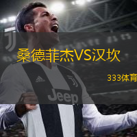 桑德菲杰VS汉坎