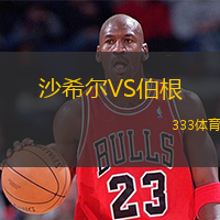 沙希尔VS伯根