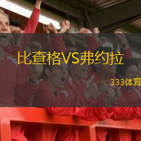 比查格VS弗约拉